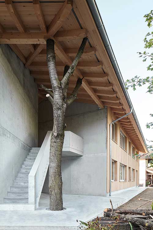 Mehrfamilienhaus in Deitingen - Schweiz. Architekturbüro lunaproductions. Der Baum unter dem Dach hat neben seiner Ästhetik auch eine tragende Funktion.