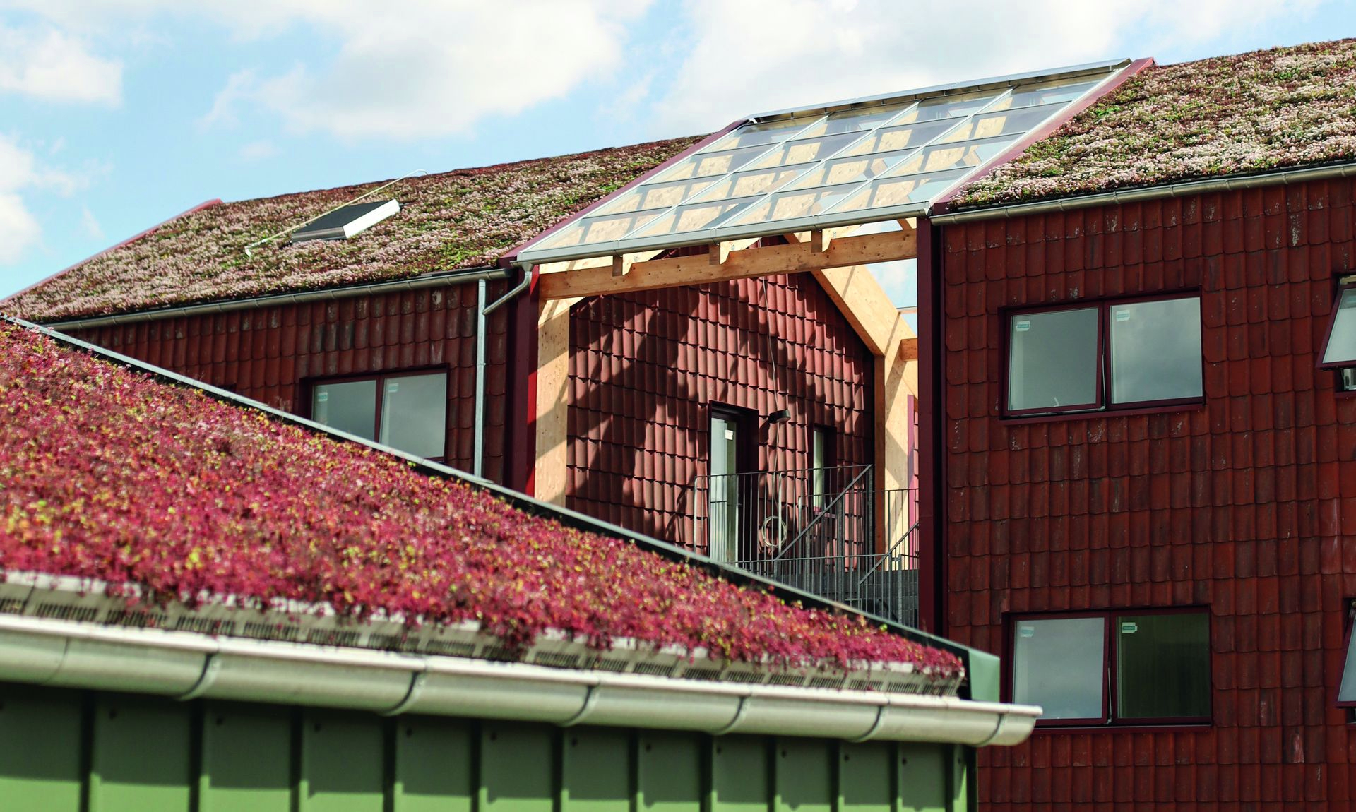 Dachbegrünung als architektonisches Konzept.